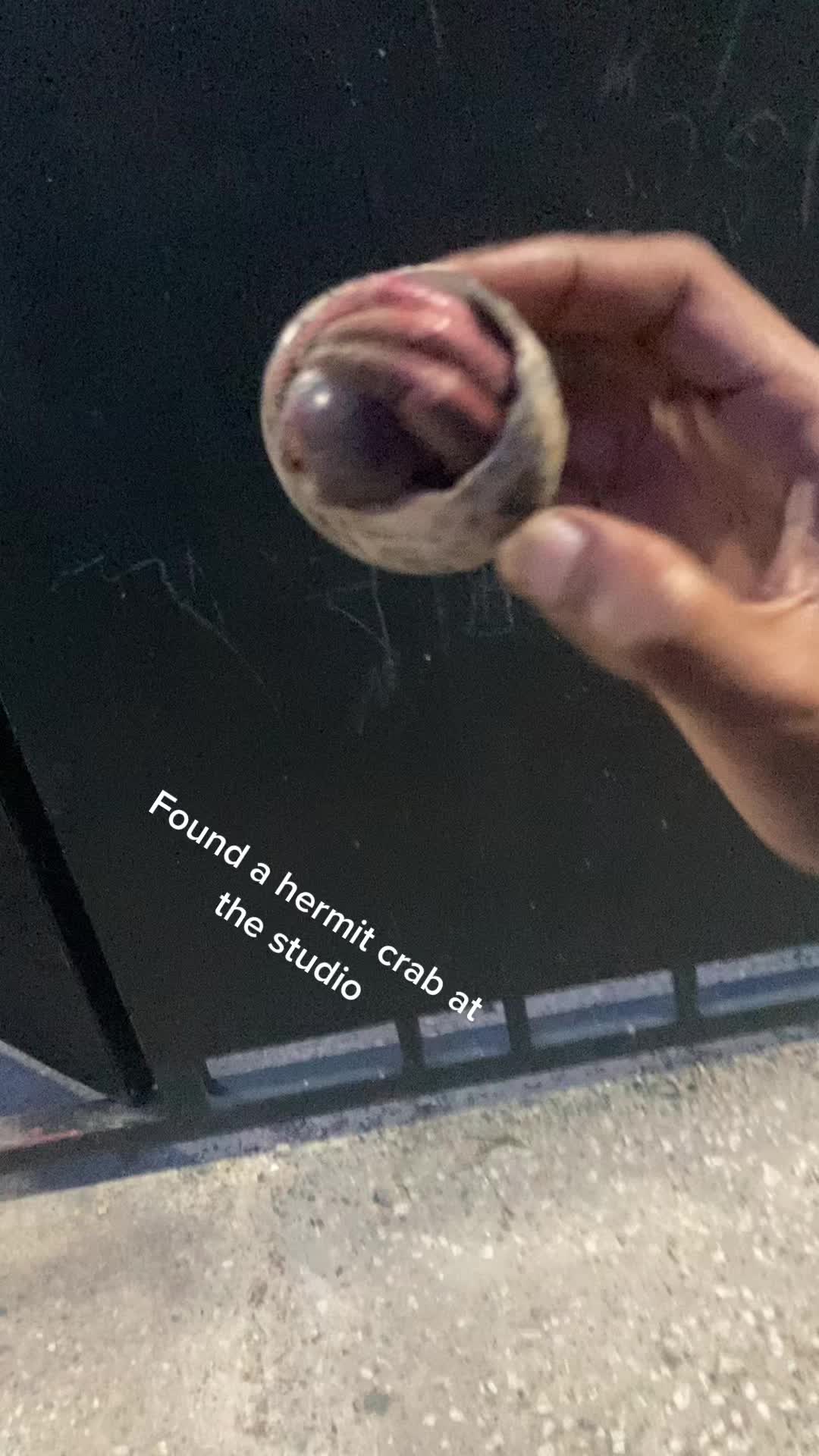 @ROWLIFE