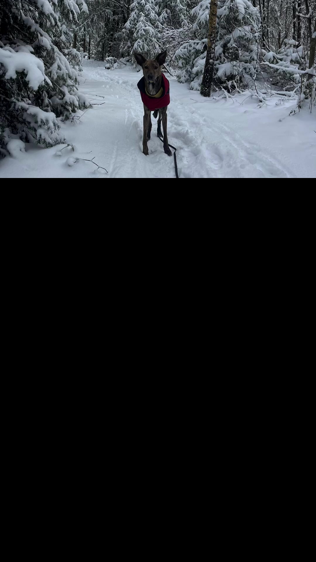 @nadiiineschmidt