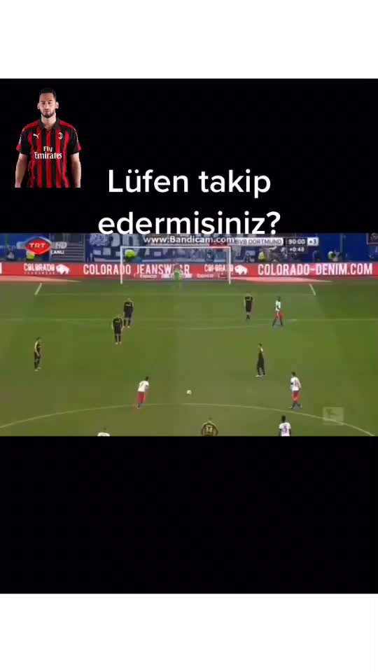 @efsanegoller