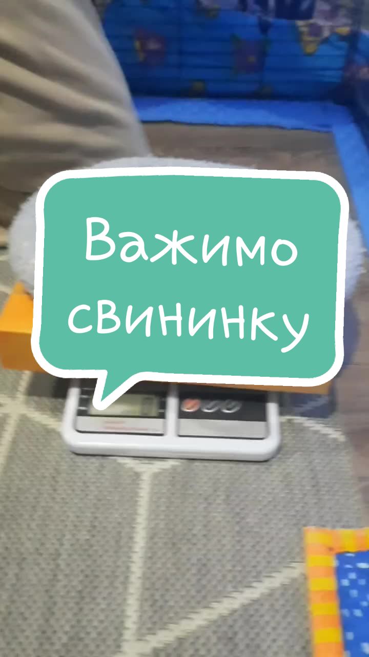 @МАТЬ ДРАКОНІВ🤣