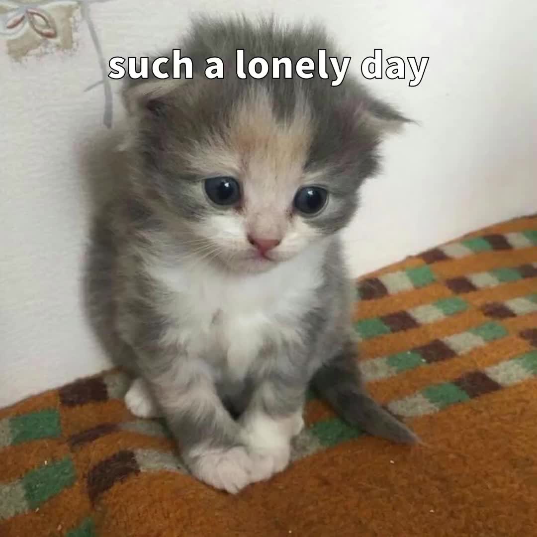 @.