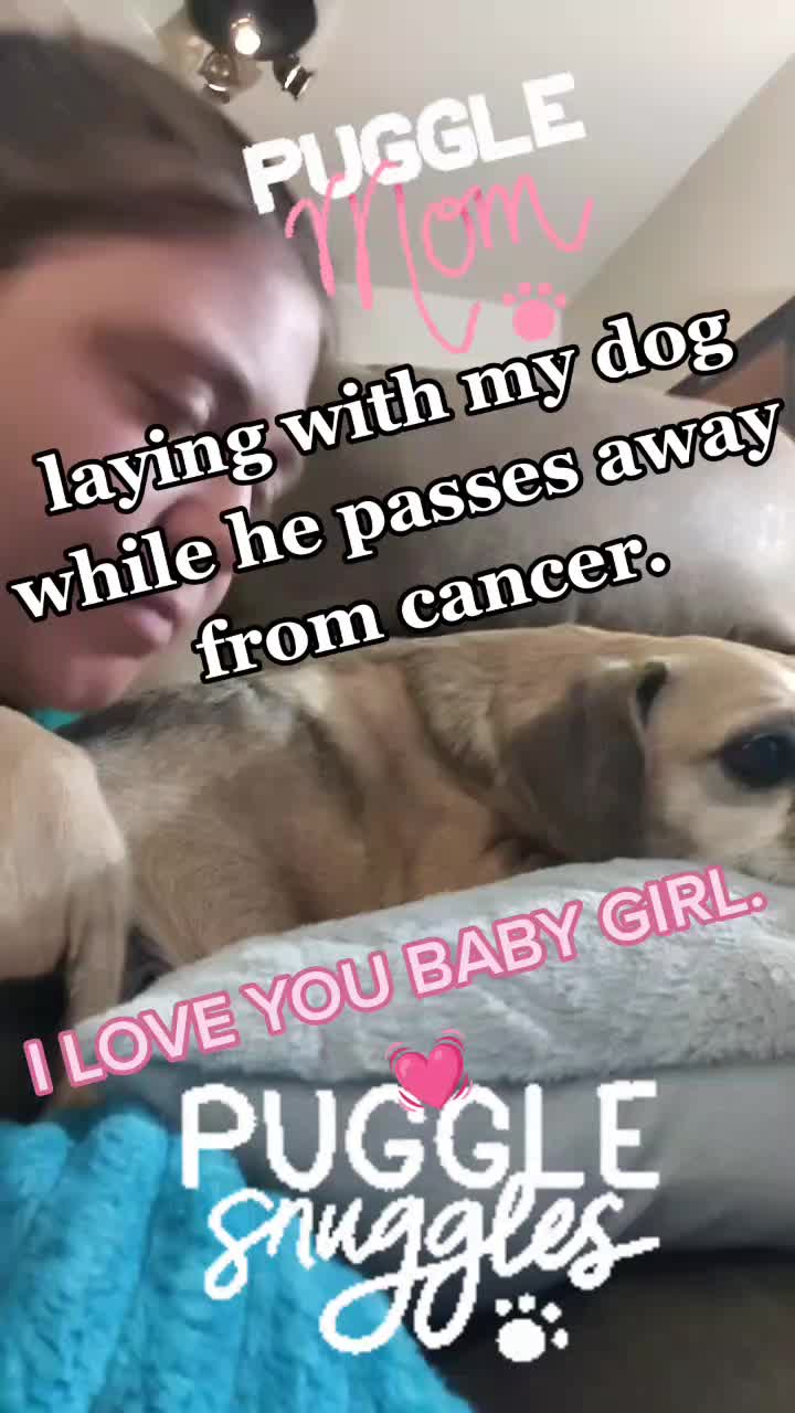 @paige