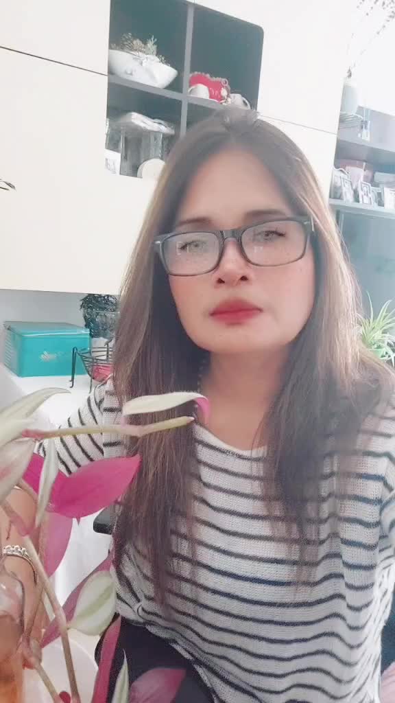 @Houseplant Lover