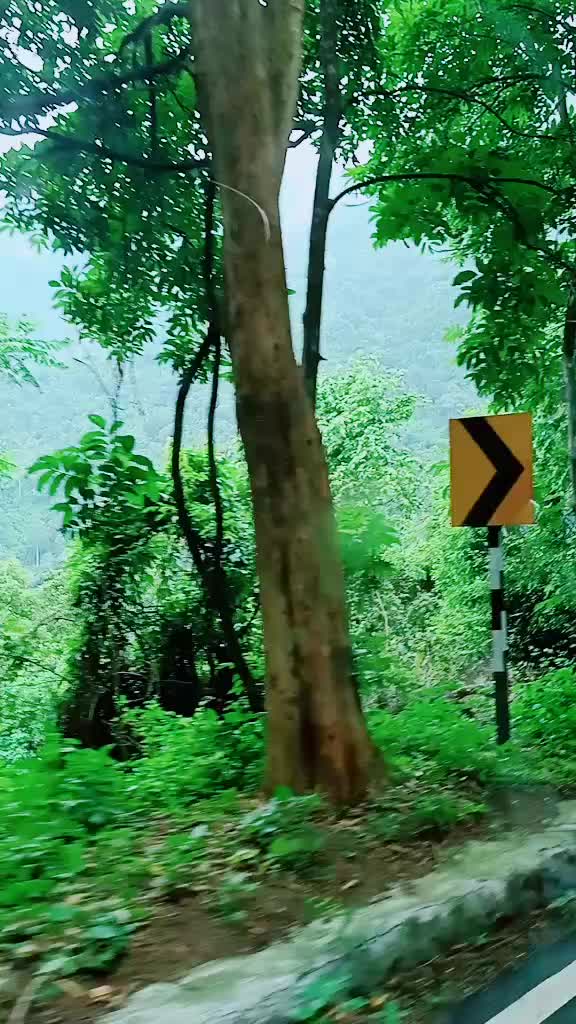 @Renju
