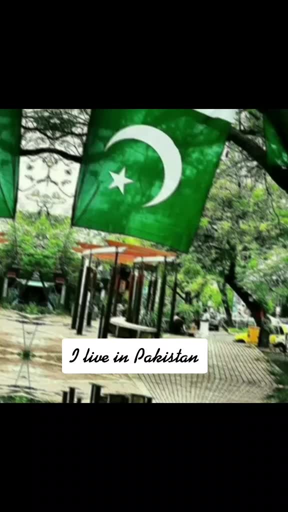 @shama jawed