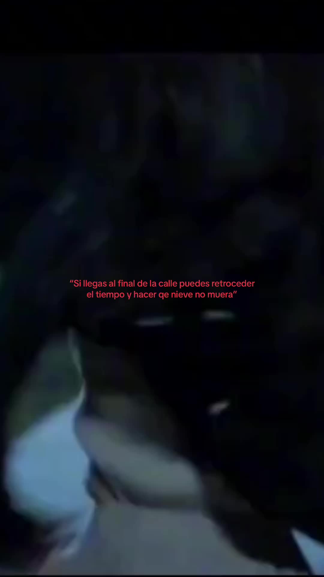 @🐰