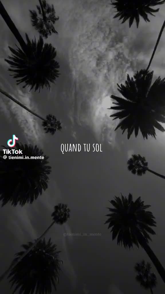 @Iolanda Verdile182