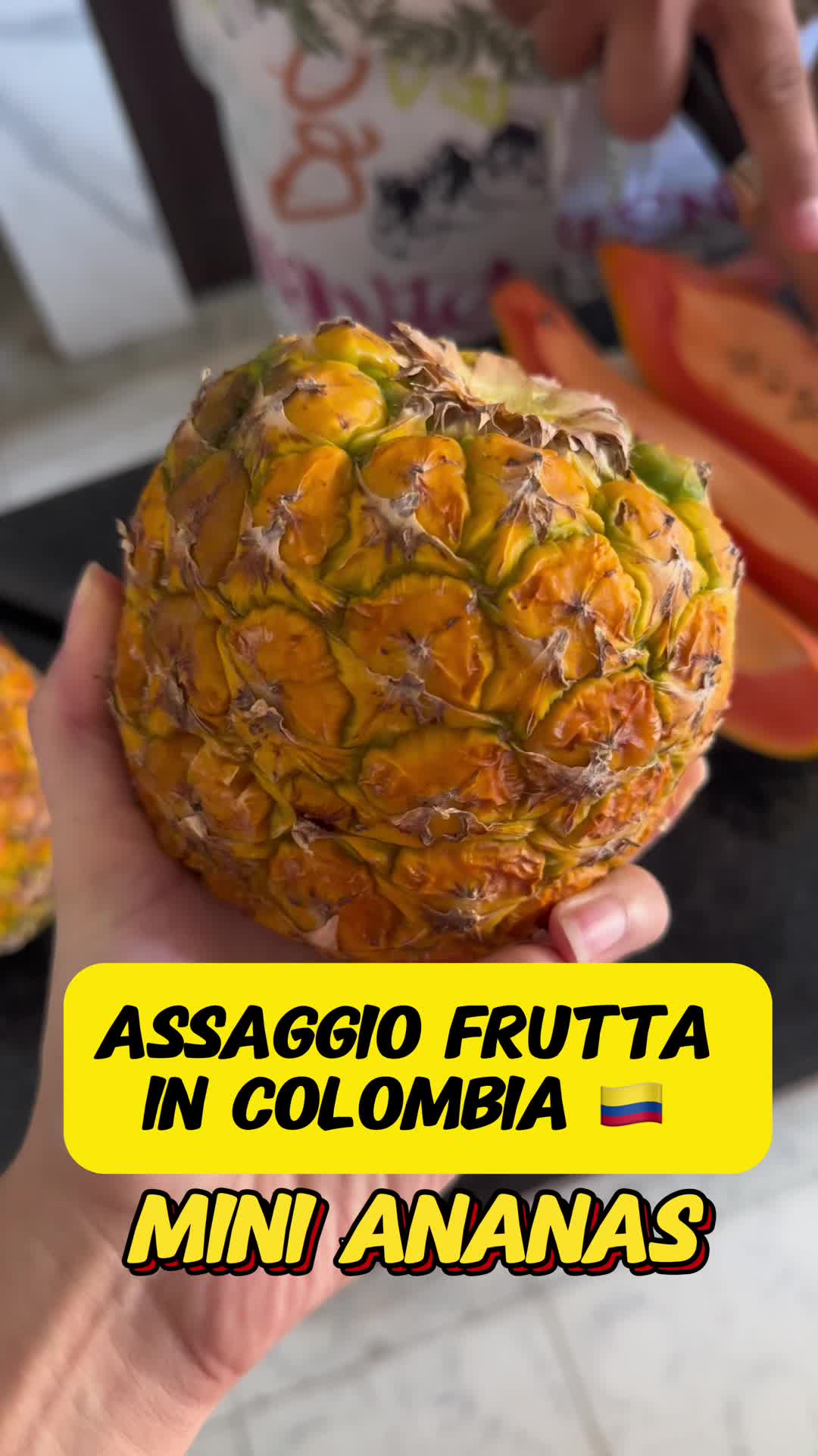 @Giada Caldonazzi