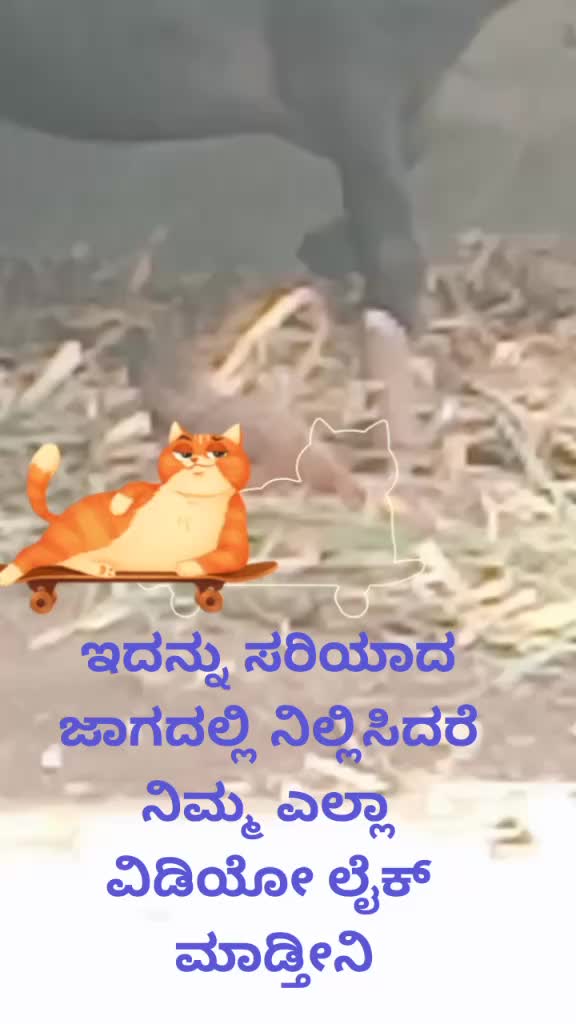 @abhi