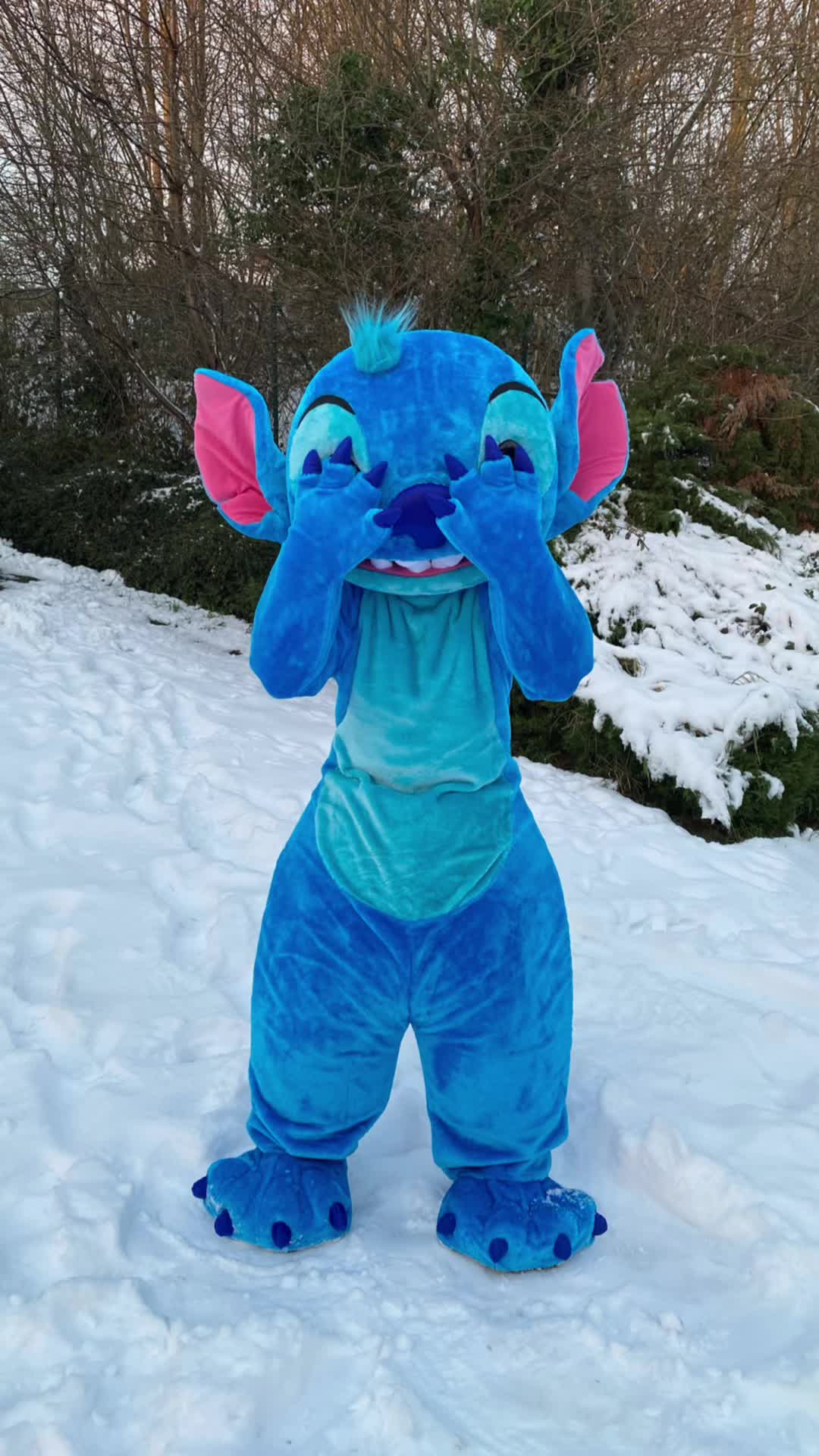 @Mascotopia🐻