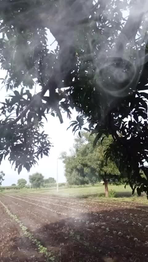 @मराठा९६ आशोक आवचार