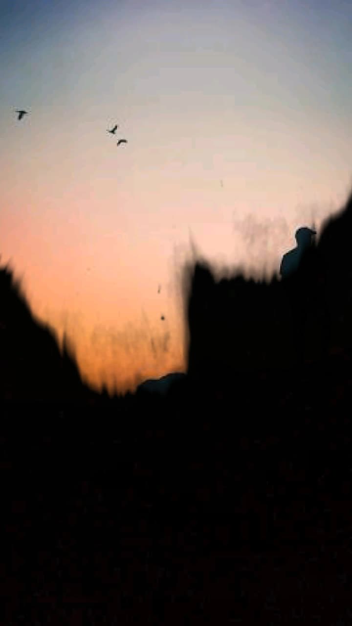 @sanju__lover__boy
