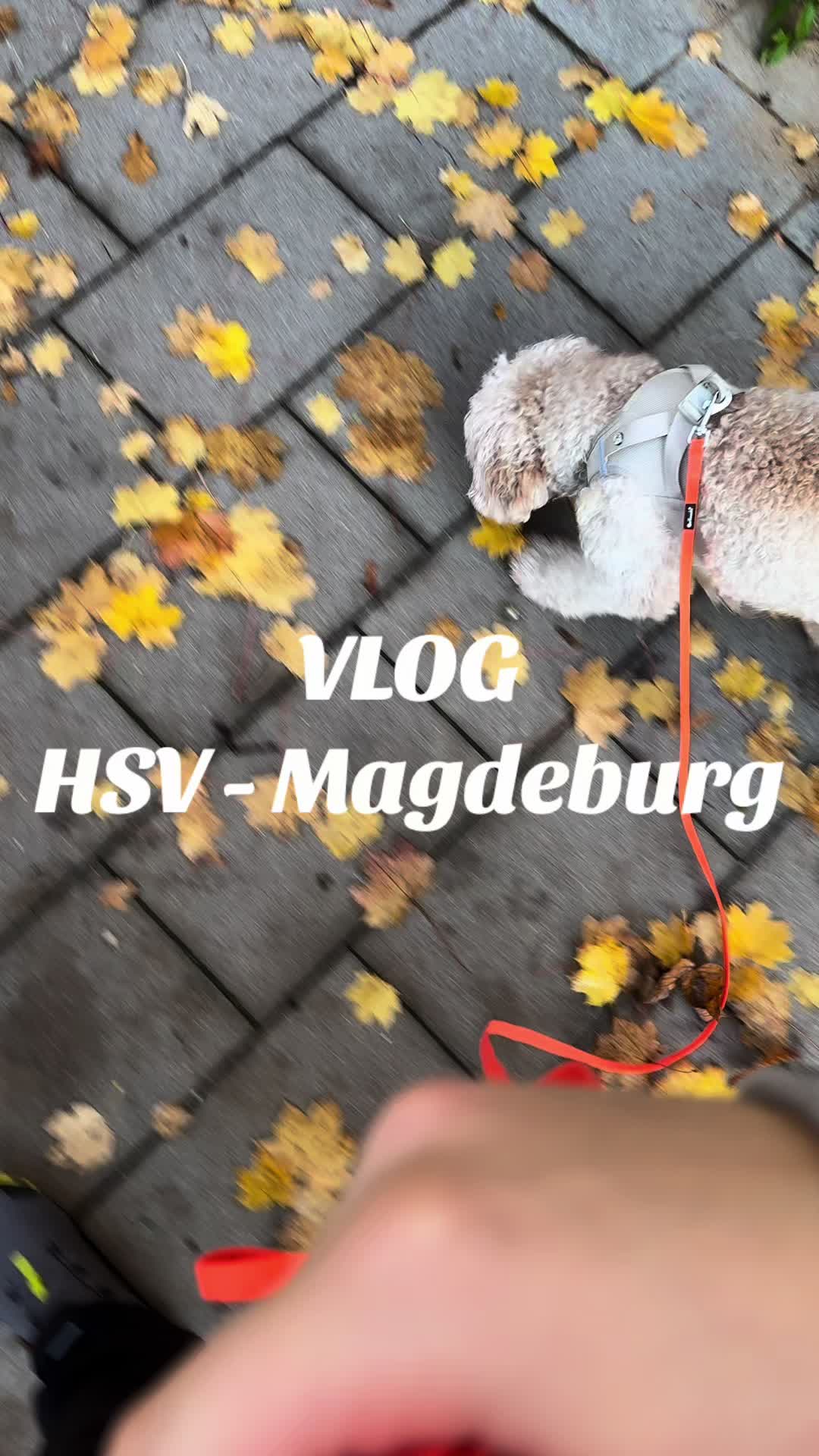 @emiiliabaumgart