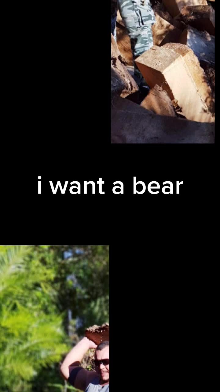 @ludo