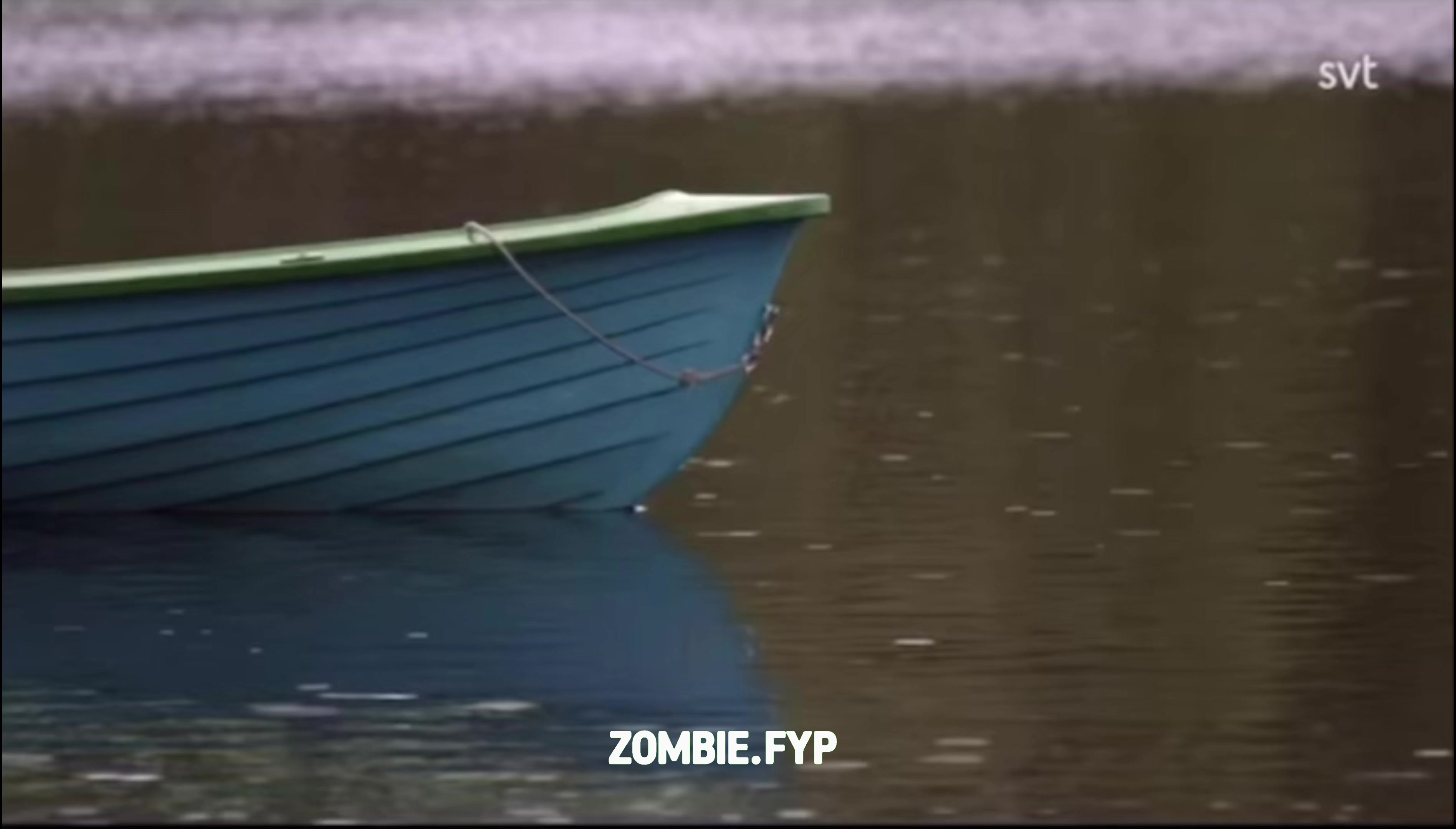 @🧟♂️zombie svt🧟♂️