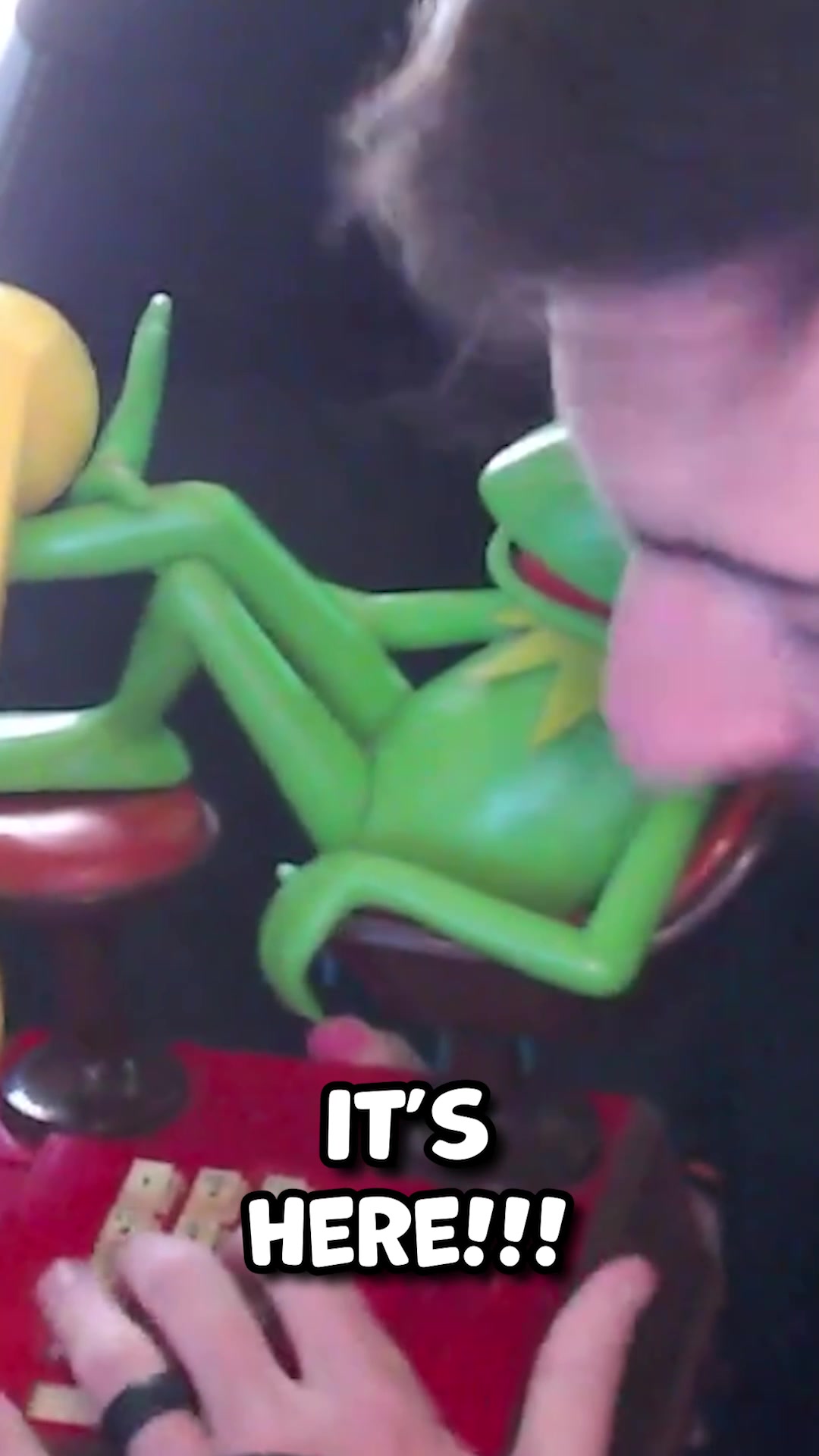 @The Suited Bird