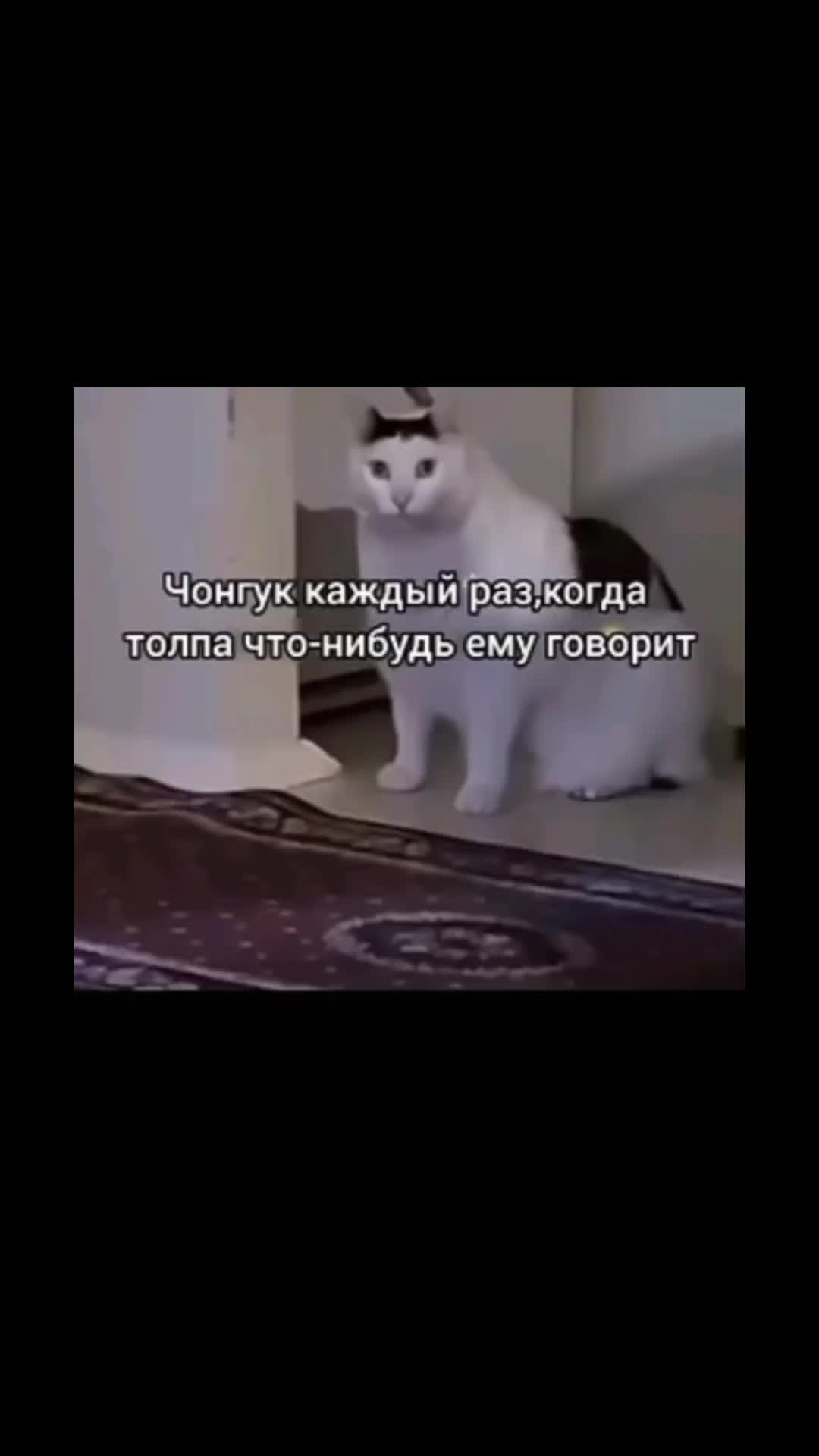 @ёжик