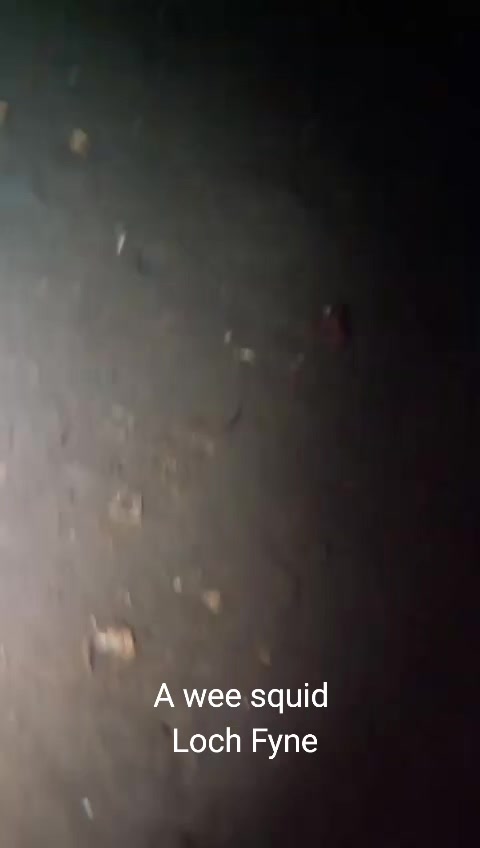 @Metal Detecting in Scotland