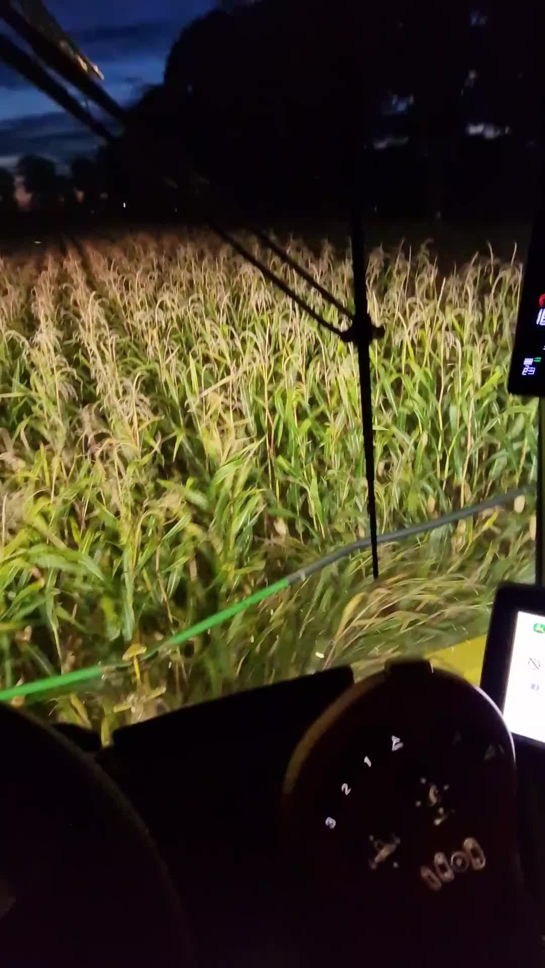 @chjimknopf29