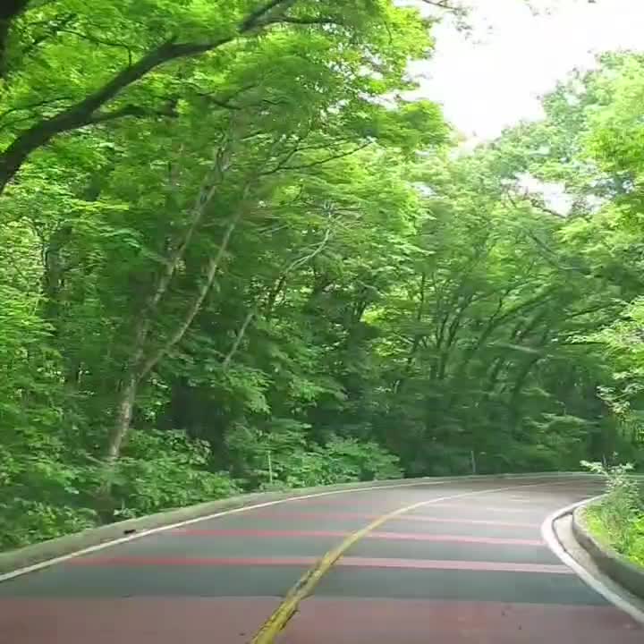 @mickey0511