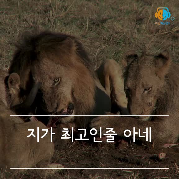 @강민규 David