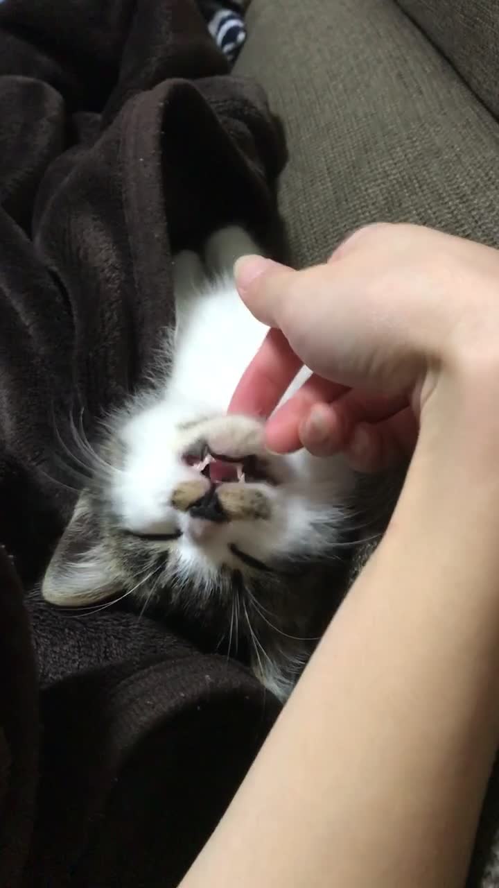 @°ส๐ฉตษ°