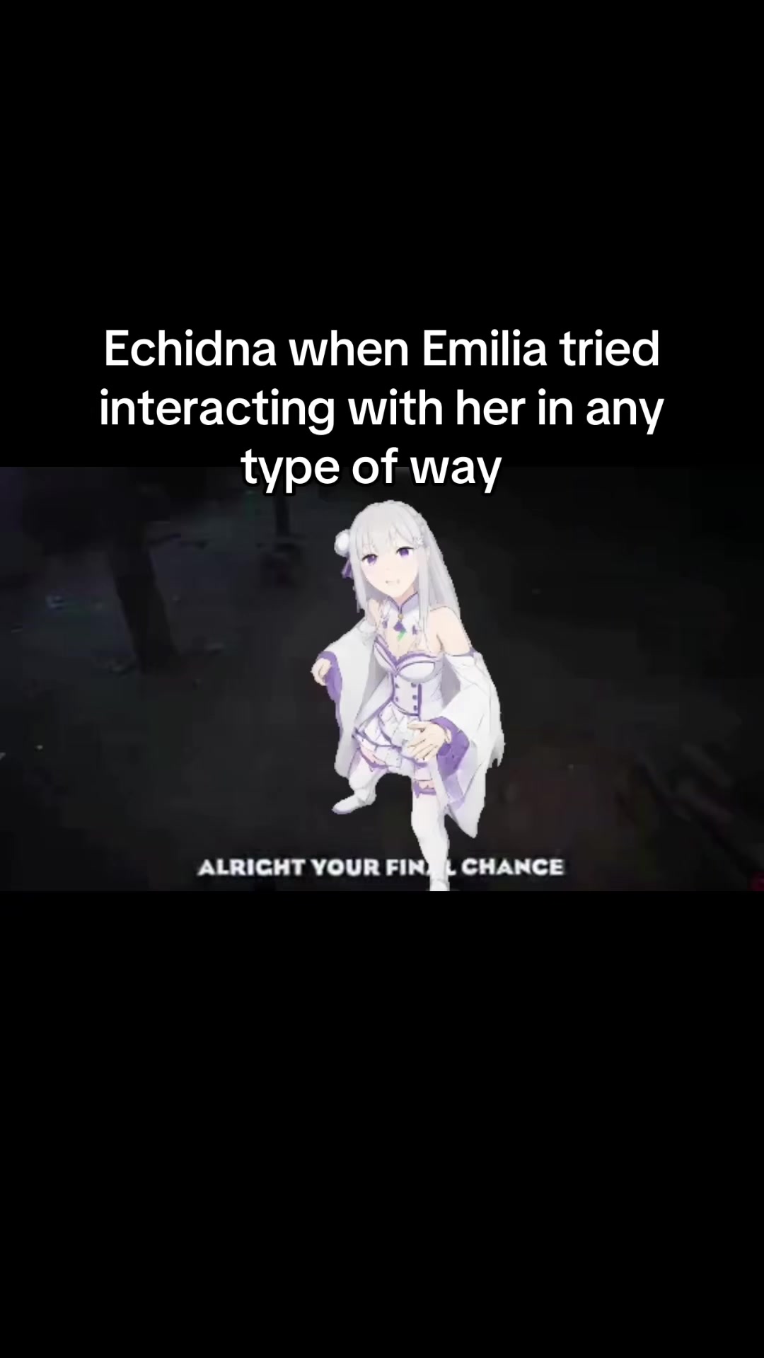 @Milkies/Echidna