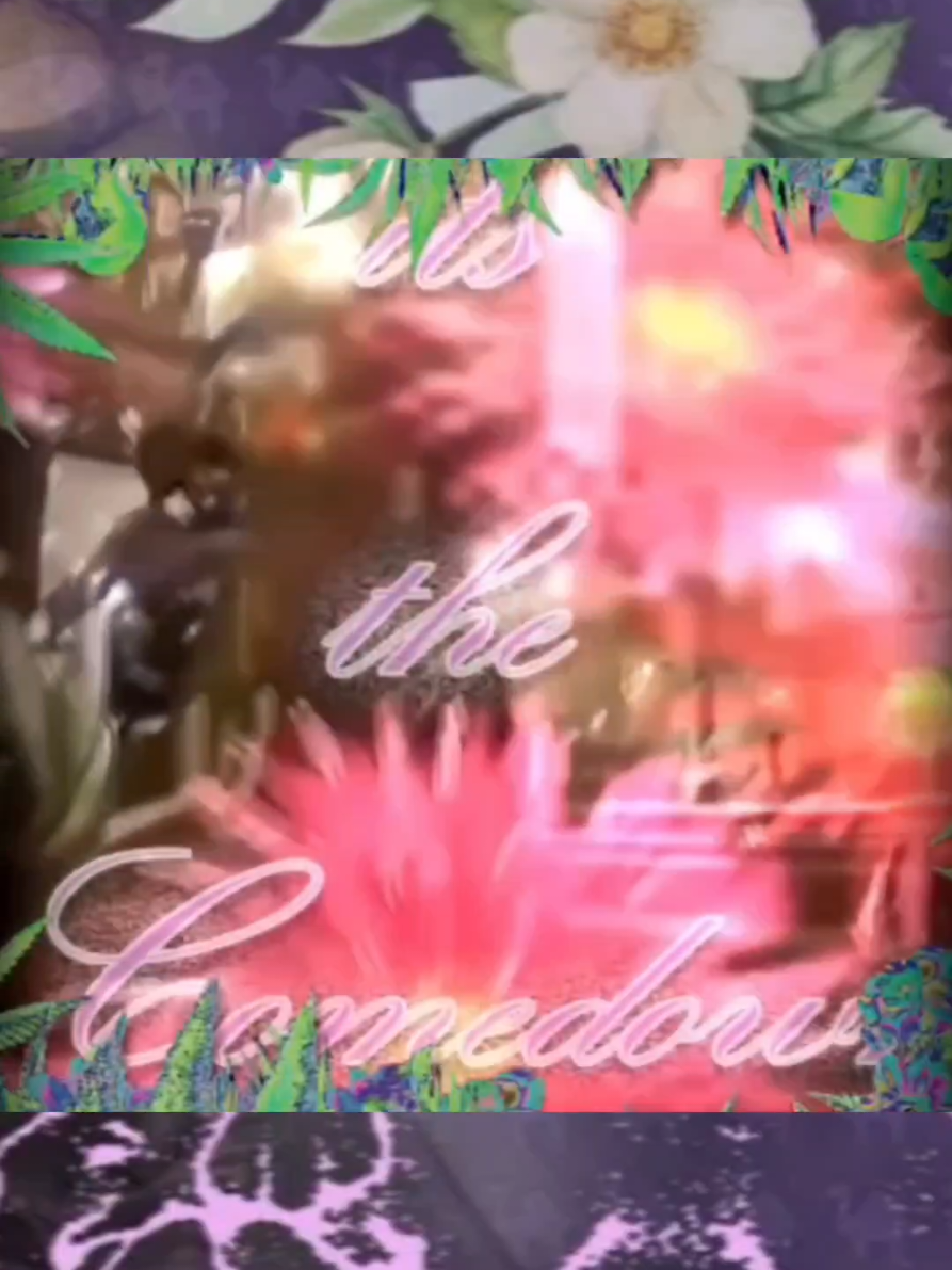 @𓆩♡𓆪