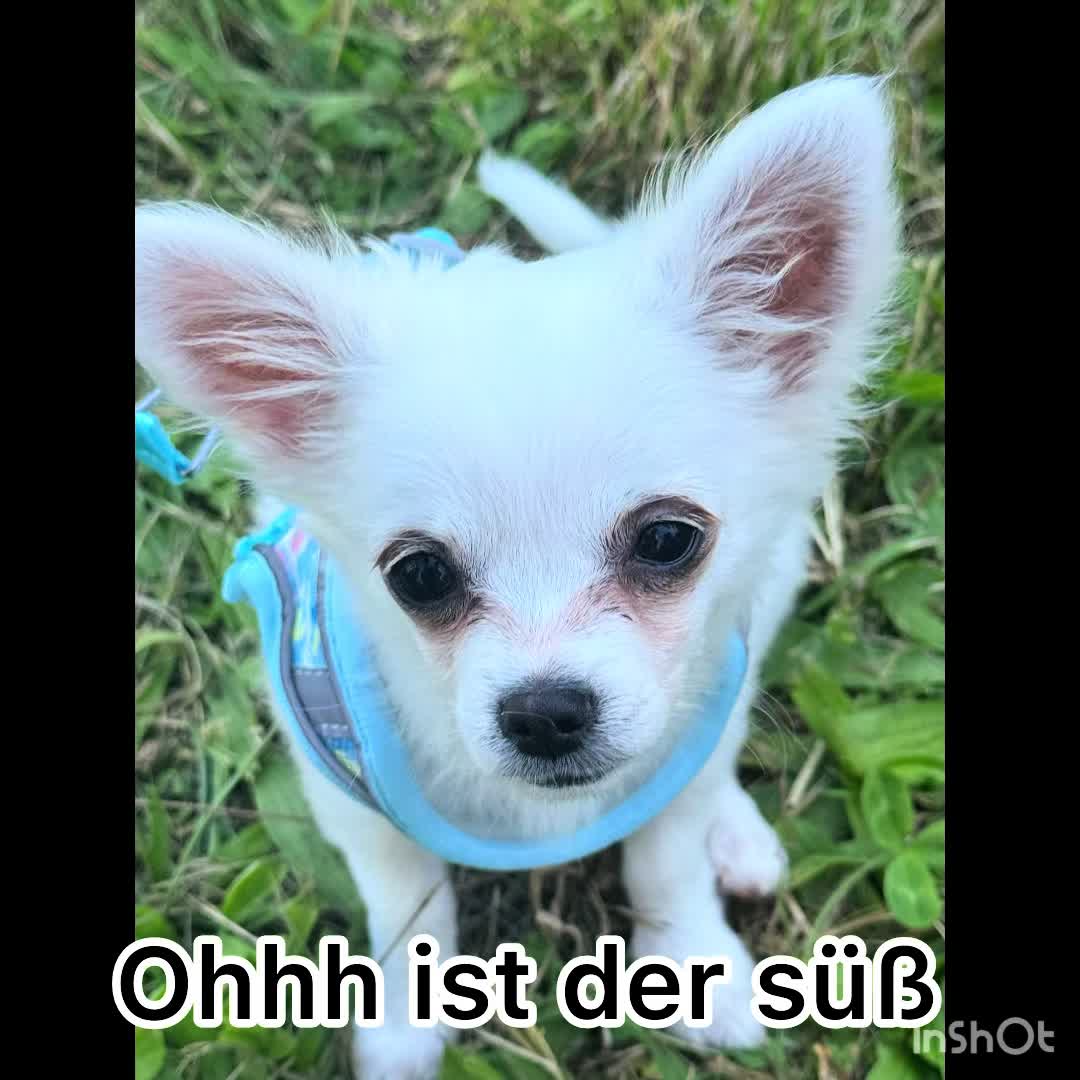 @Katja Welsch