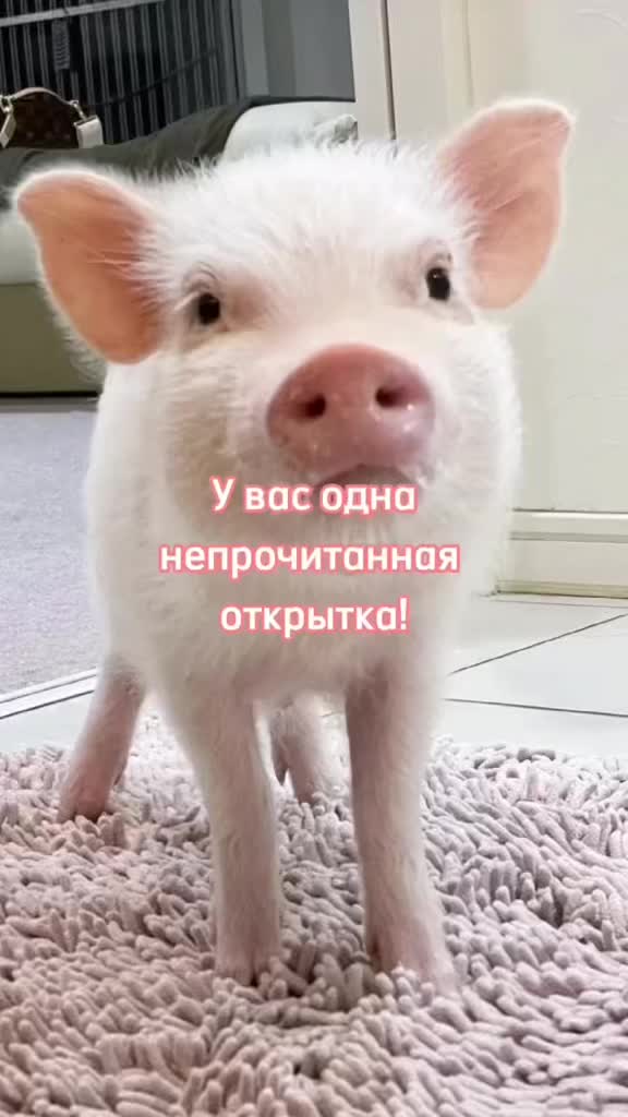 @GartonGatti
