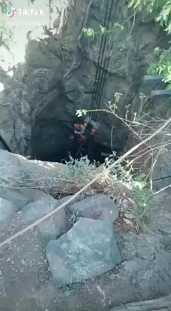 @🙏🙏જે ગૌ માતા 🙏🙏