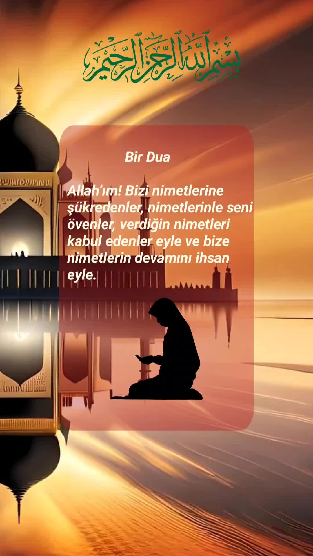 @LAZ UŞAĞI