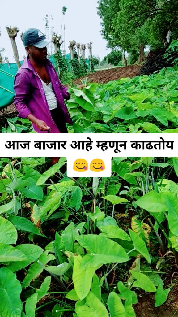 @Ravindra Naik