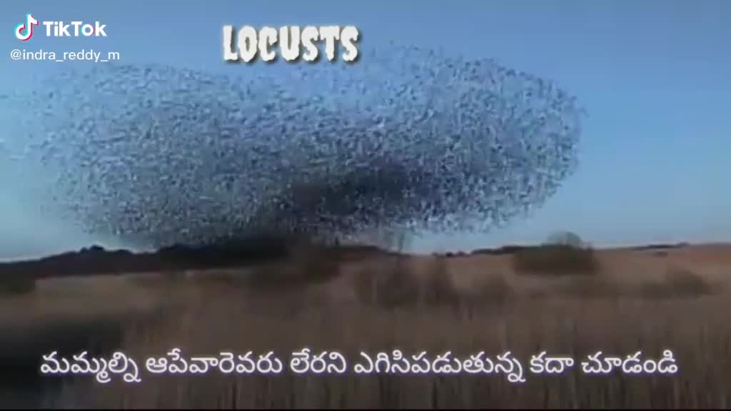 @kalyan