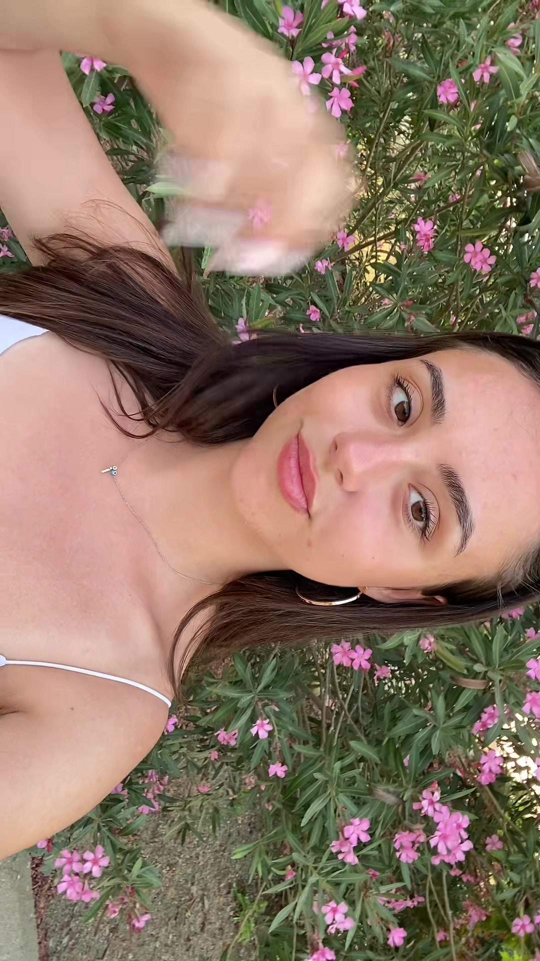 @bitanecikaskimm
