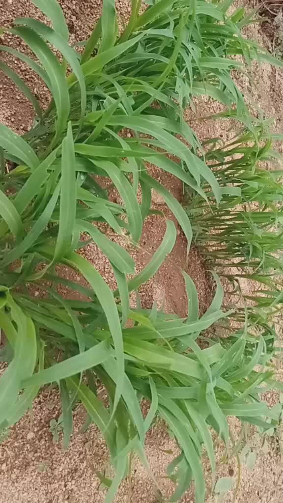 @user4000806606397