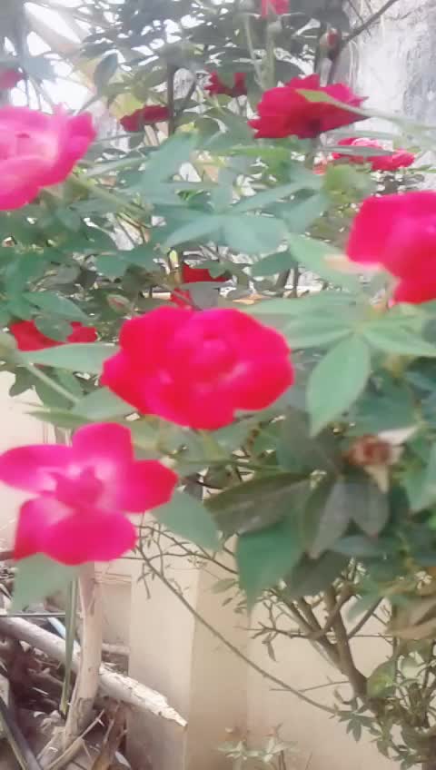 @Maheshcheerla123