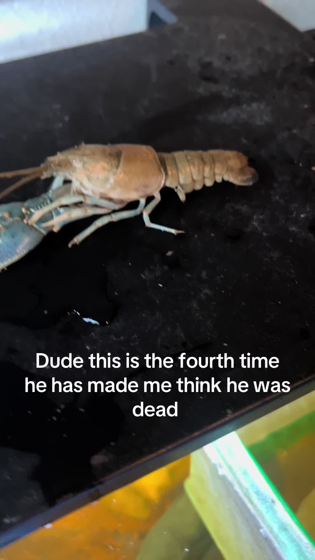 @MoffatBoy
