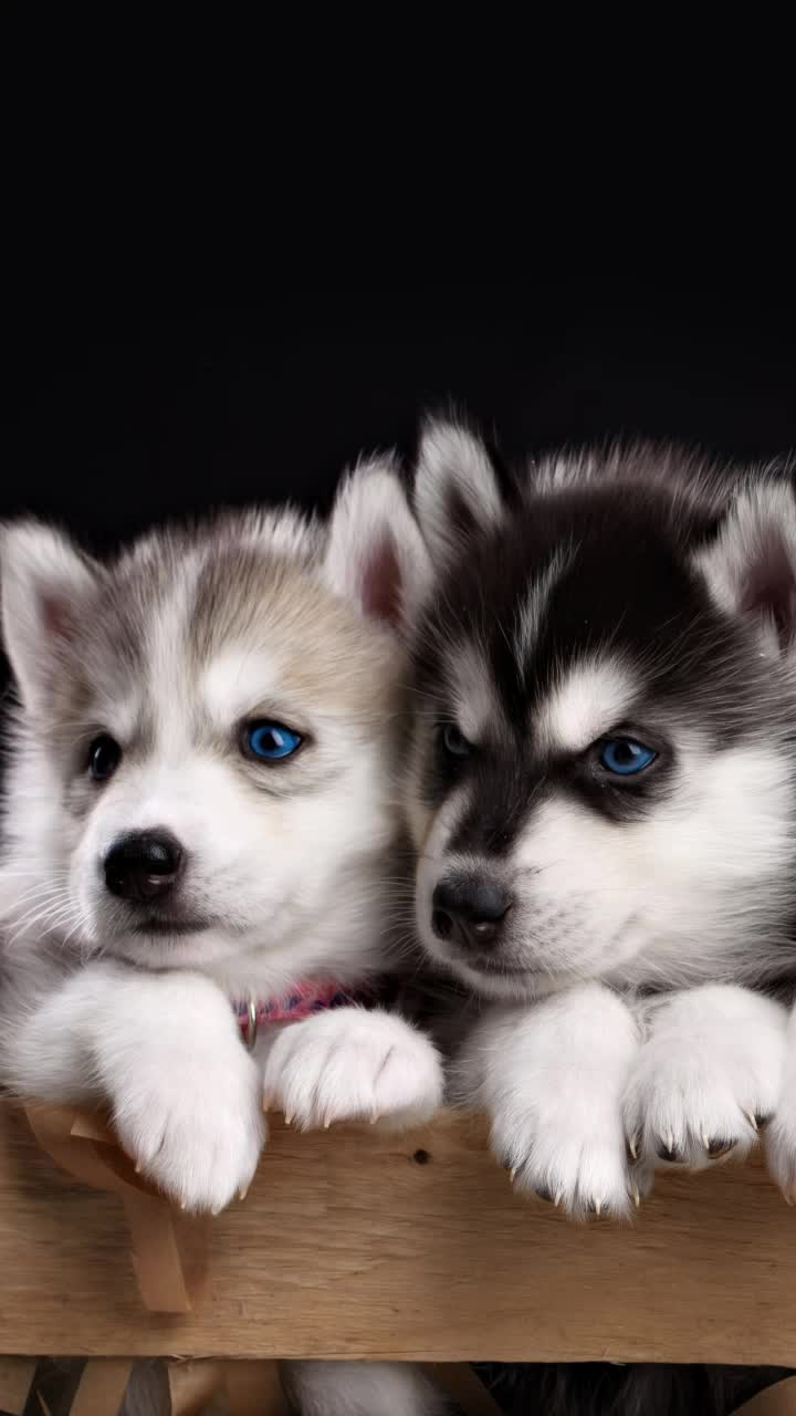 @varshini56😄😄😜🙂🙂