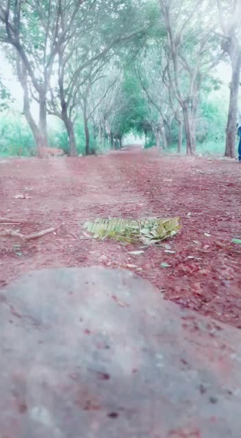 @AK Prakash