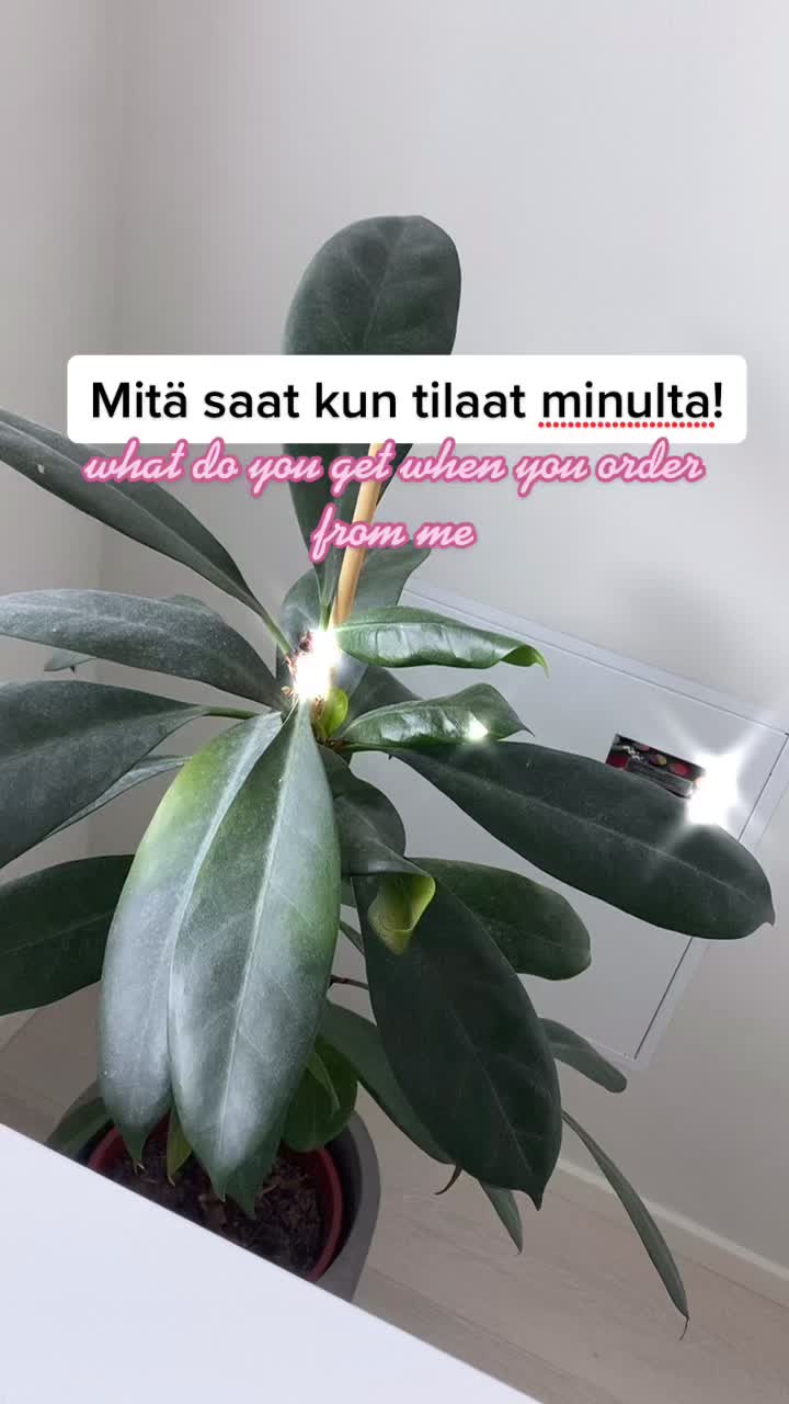 @Pienyritt&auml;j&auml;