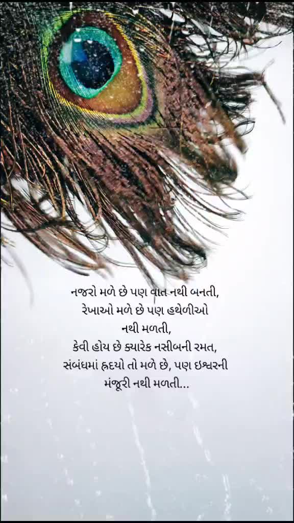 @Vishank Patel💕