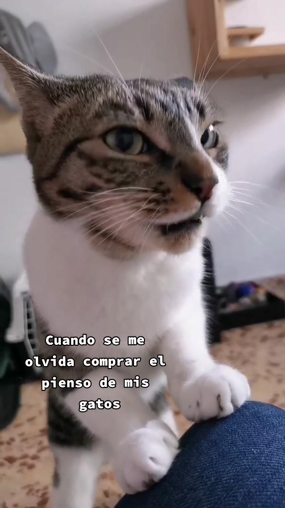 @Laura