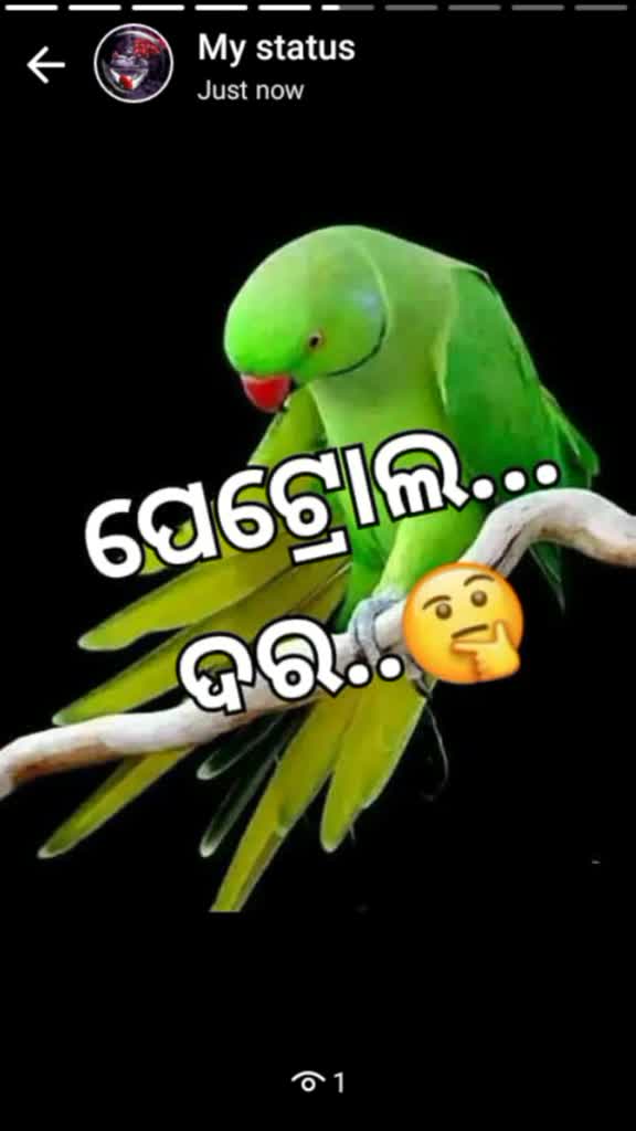 @MAMUNI123_kajal