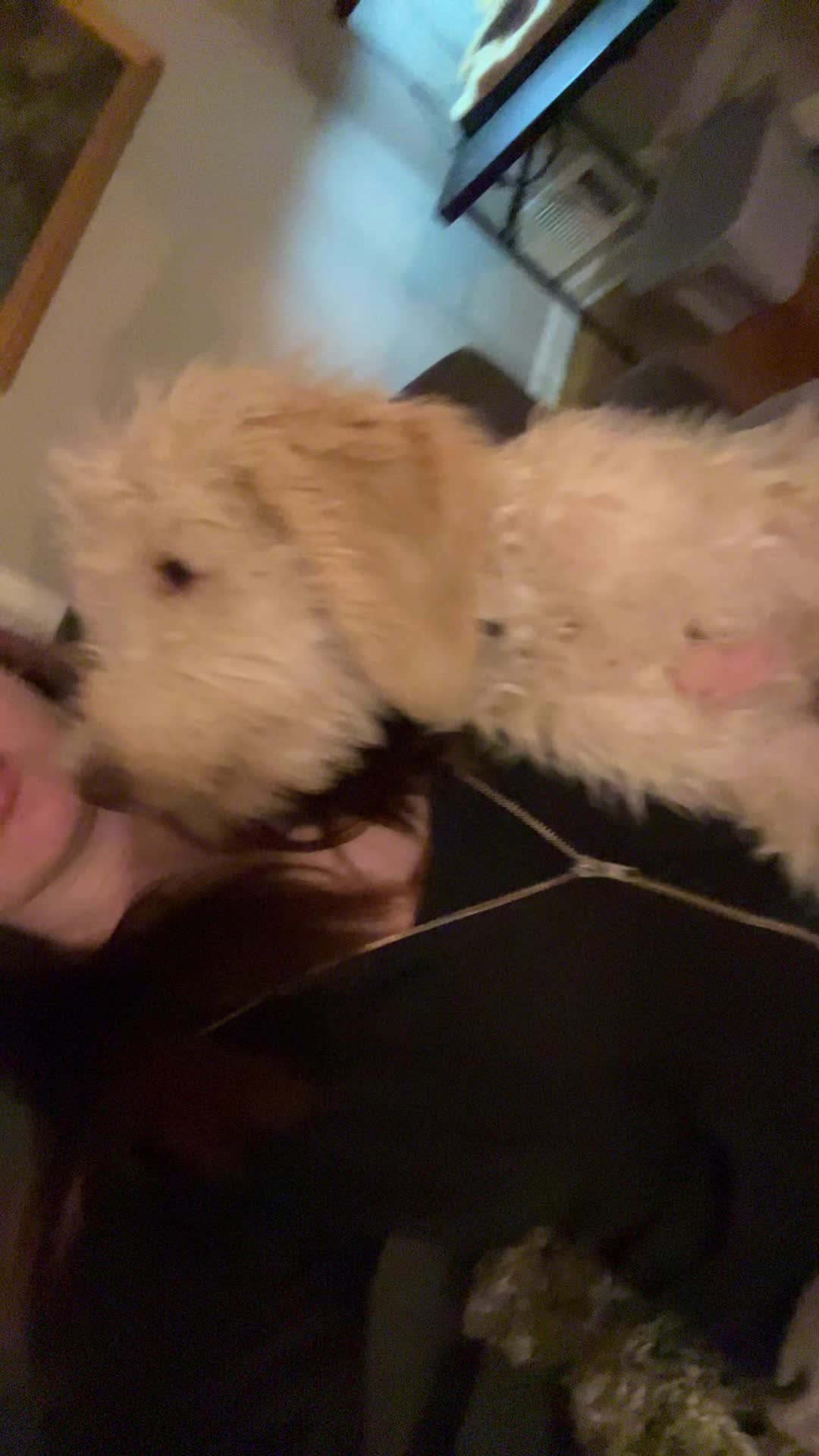 @💗