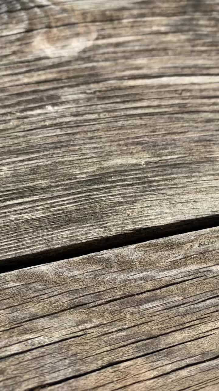 @Mavisine.yeşil
