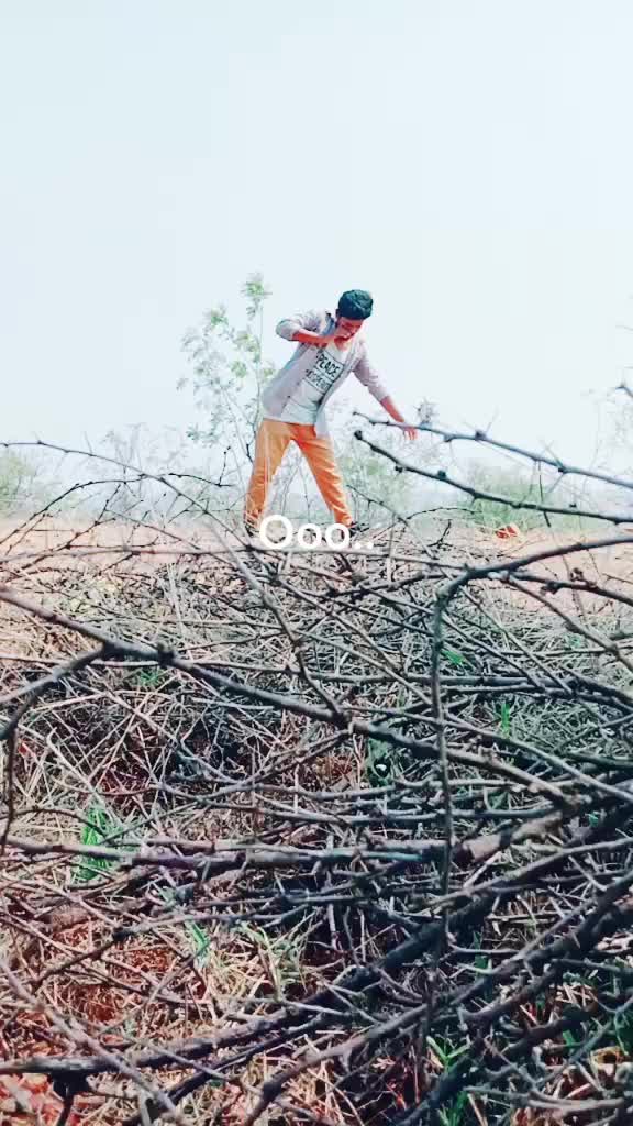 @kittu