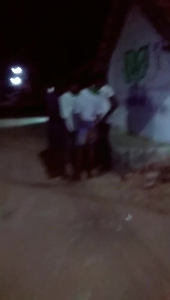 @pachaipachai2637