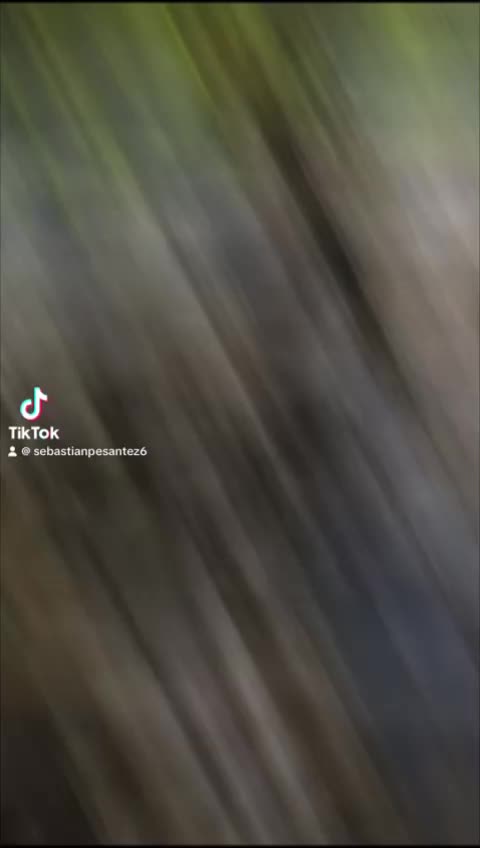 @AntonioVela