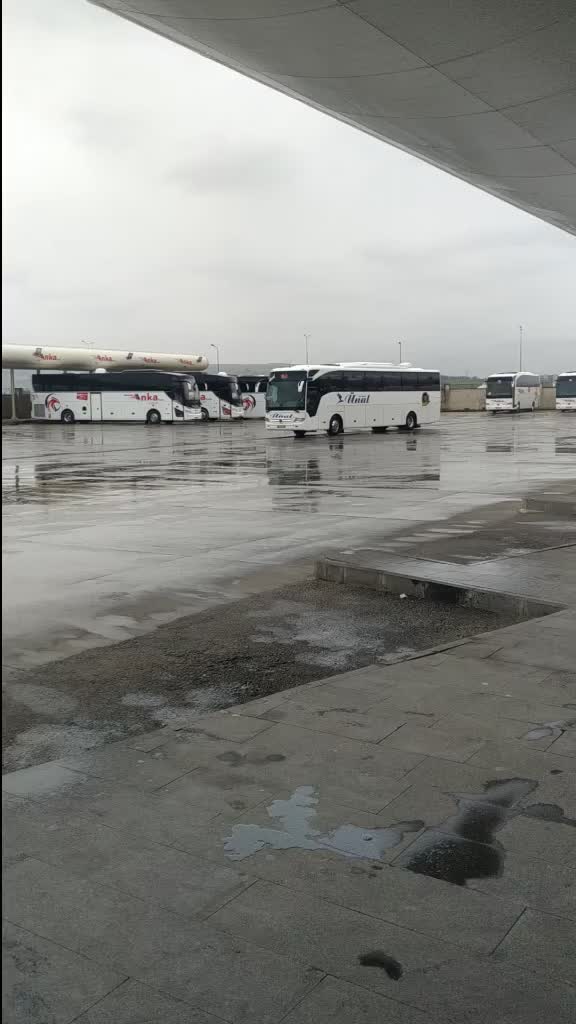 @Tahir Yal&ccedil;ın